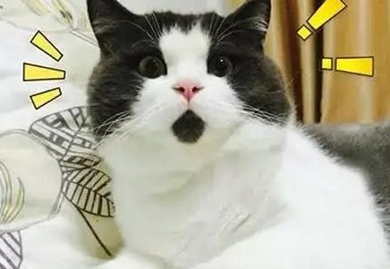 DƬ